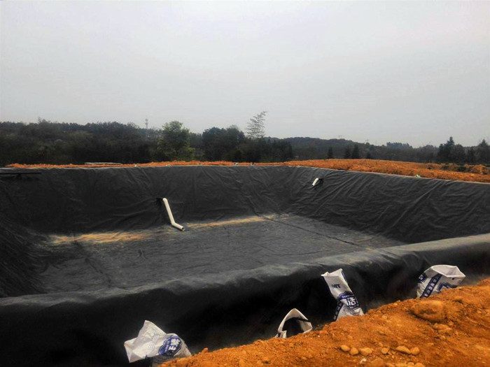 魚塘用HDPE土工膜優(yōu)缺點(diǎn)對(duì)比